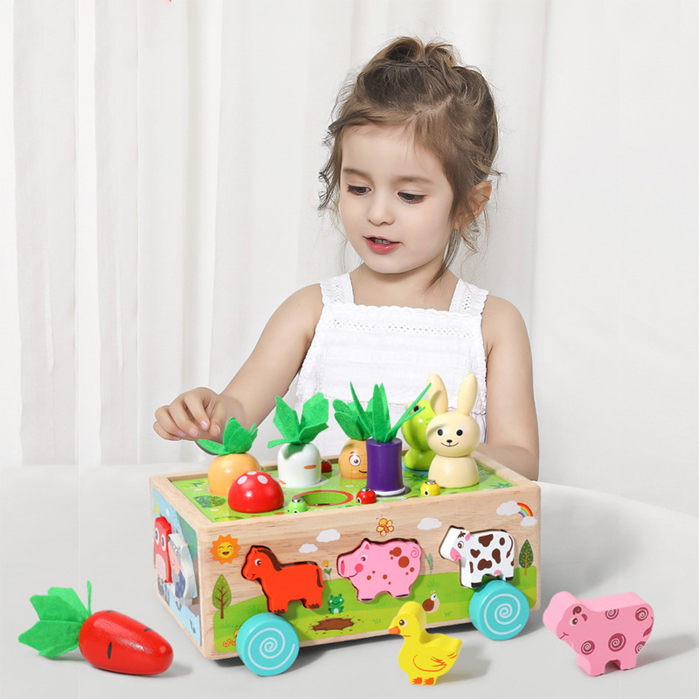 Wooden Shape Assortment Matchi - Kids Education Number 评论和价格
